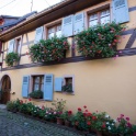 Eguisheim - 142